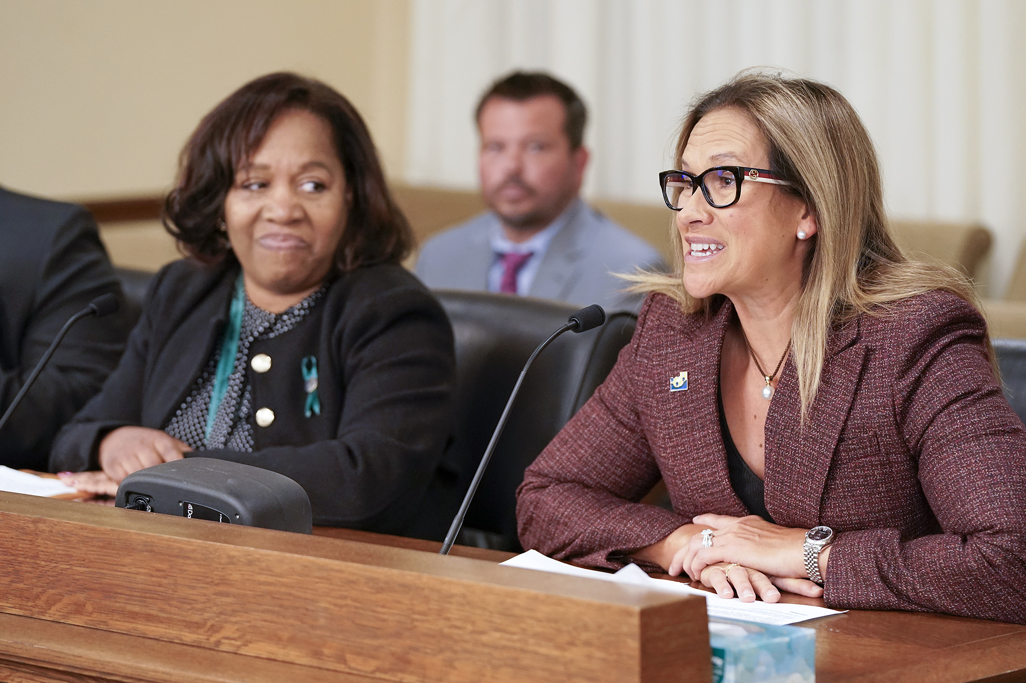 Inver Grove Heights Mayor Brenda Dietrich testifies before the House Capital Investment Committee April 7 in support of HF4238. Sponsored by Rep. Mary Frances Clardy, it would provide $20 million toward construction of the Minnesota Hockey Hall of Fame. (Photo by Michele Jokinen)